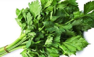 Celery leaves