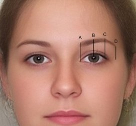 Eyebrow Shaping Guide – How to, Tips, Men and Women Eyebrow Shaping