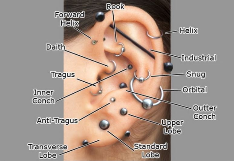 Various types of cartilage piercing and healing time