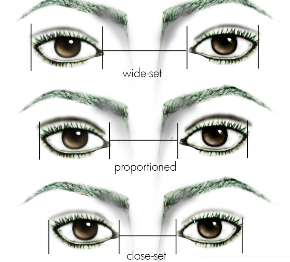 Wide and close set eyes chart